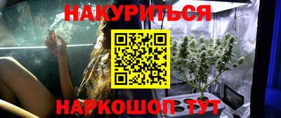 соль ск Новокубанск