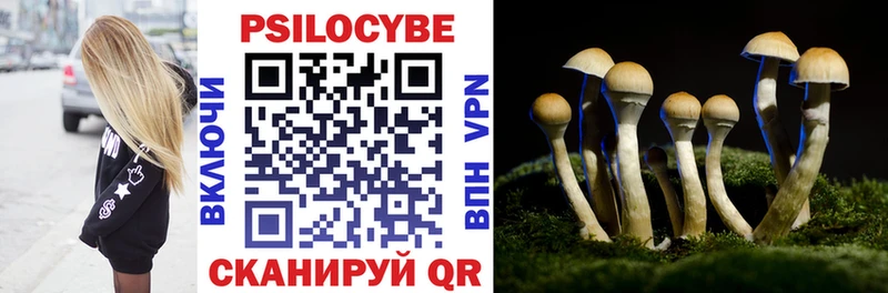даркнет какой сайт  Скопин  Галлюциногенные грибы MAGIC MUSHROOMS  мега зеркало 