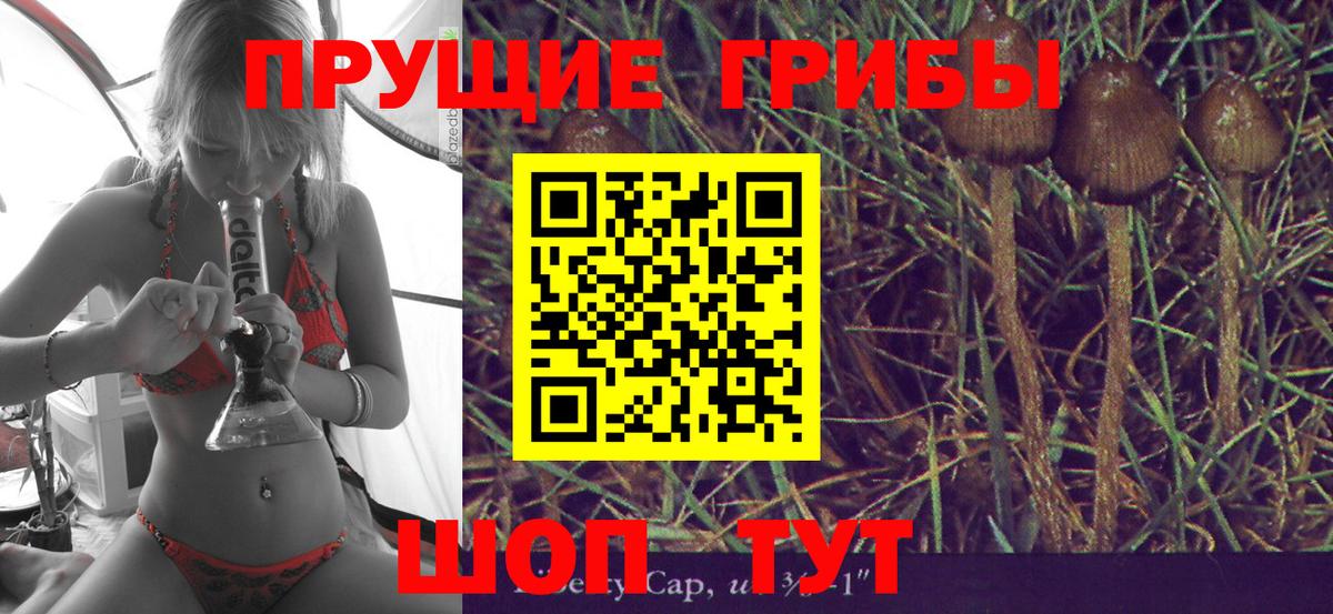 Псилоцибиновые грибы Cubensis Скопин